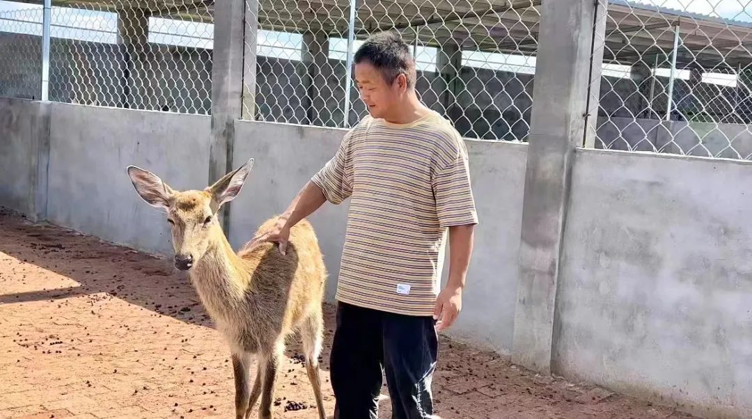 大宝娱乐游戏pt游戏